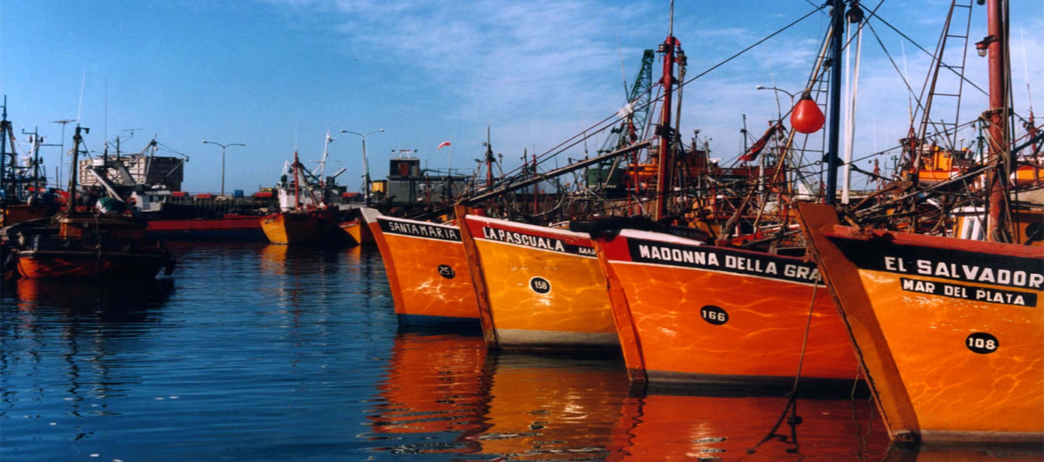 image of the port of Mar del Plata, boats